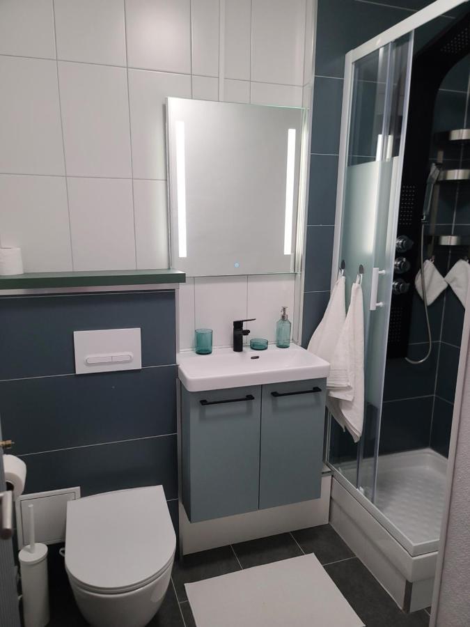 Magnifique Studio 26M2 Belfort Extérieur photo
